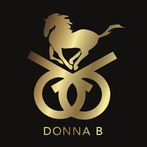 donna b fine art