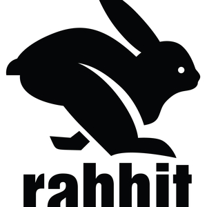 run-in-rabbit