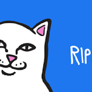 RIPNDIP